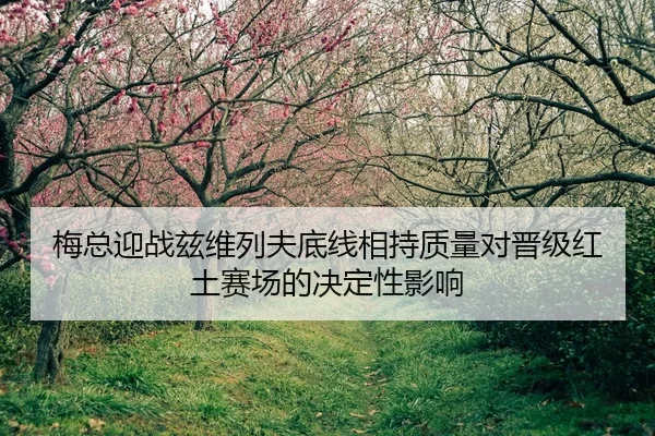 梅总迎战兹维列夫底线相持质量对晋级红土赛场的决定性影响