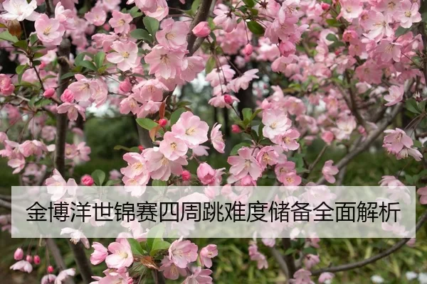 jin-bo-yang-shi-jin-sai-si-zhou-tiao-nan-du-chu-bei-quan-mian-jie-xi-2-313.jpg