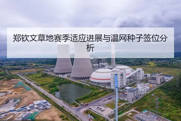 郑钦文草地赛季适应进展与温网种子签位分析