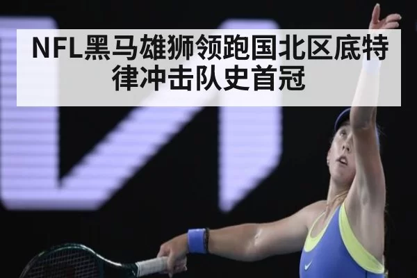 NFL黑马雄狮领跑国北区底特律冲击队史首冠